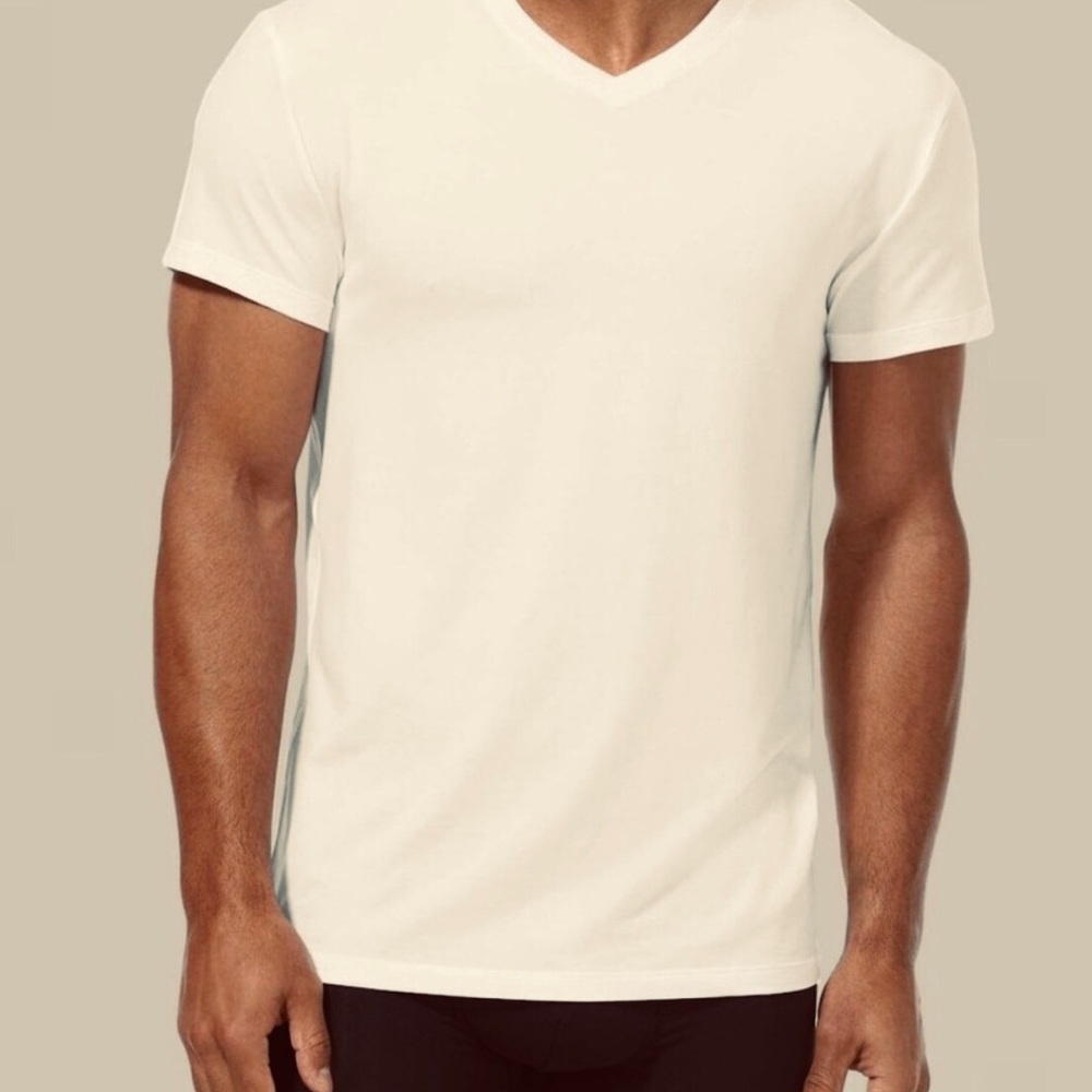 Cotton Citizen Classic V-neck Cream Short Sleeve Tee New!